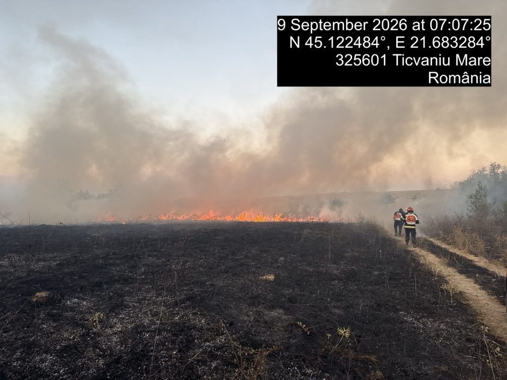 Incendii de vegetație în Caraș-Severin: sute de hectare afectate, pompierii intervin în șase zone VIDEO