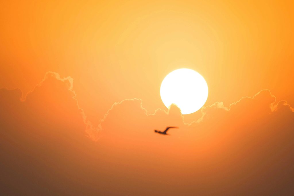 Noi alerte meteo: Caniculă joi și vineri, apoi ploi torențiale și vijelii. Cum va fi vremea în București