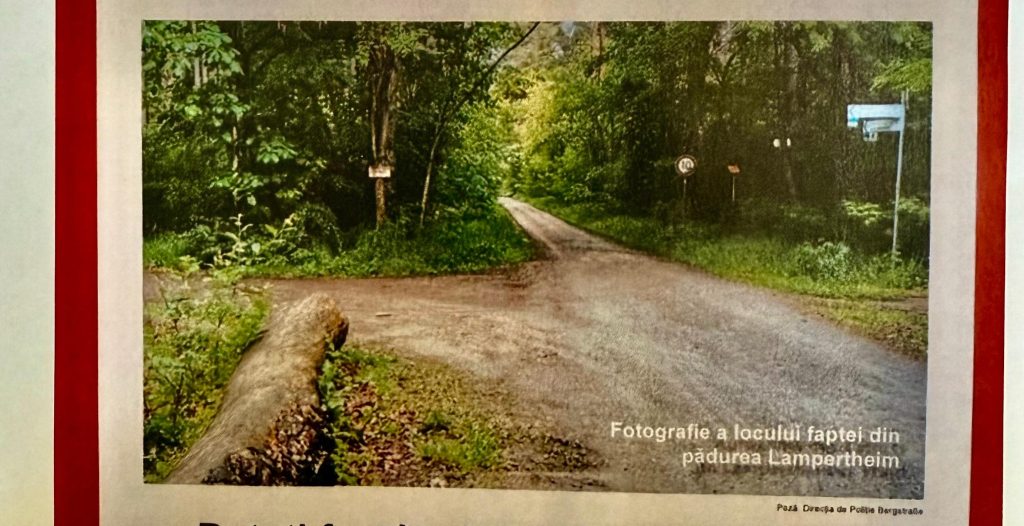 De la o crimă misterioasă din Germania, la Botoșani: CUM a ajuns ancheta pentru uciderea unei femei să-i ducă pe polițiști tocmai în nordul României