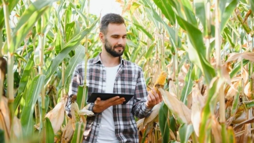Fermierii pot depune cereri pentru două noi măsuri de sprijin financiar