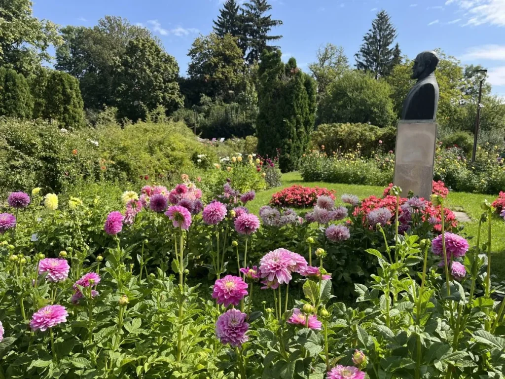 Explozie de culoare și mister la Cluj-Napoca: Ultimul weekend cu spectacol dublu la Grădina Botanică „Alexandru Borza”