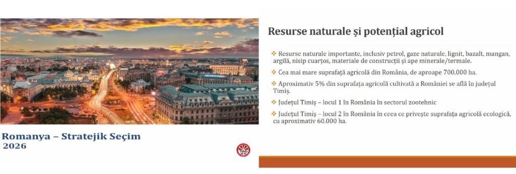 Oportunități de investiții și parteneriate pentru companiile din Timiș: CCIAT și TIAD au organizat Forumul Online de Afaceri România – Turcia