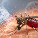 Confruntată cu unul dintre cele mai grave focare de virus West Nile din ultimii ani, Grecia e îndemnată să îşi îmbunătăţească sistemul de avertizare timpurie pentru virus