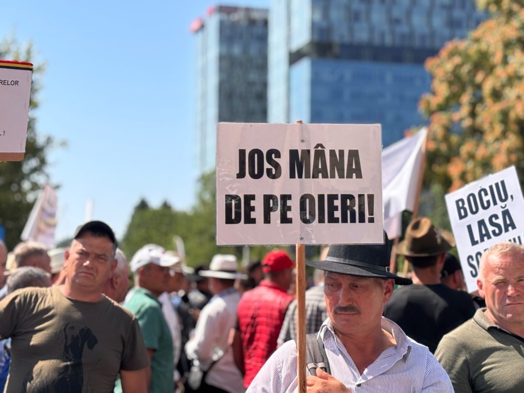 Ciobanii protestează marți, în Piața Victoriei / Crescătorii de oi și capre, nemulțumiți de măsurile privind pesta micilor rumegătoare / La manifestația din iulie au intervenit jandarmii din cauza incidentelor