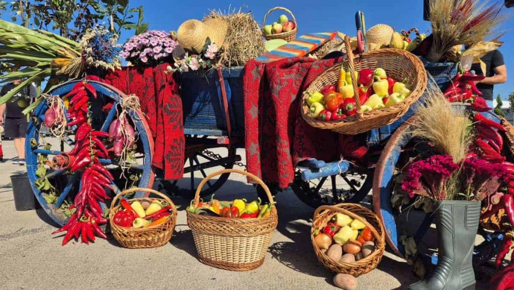 Târgul Apulum Agraria 2026, la Ighiu: Utilaje agricole, parada bovinelor, dog show și produse agroalimentare. PROGRAM