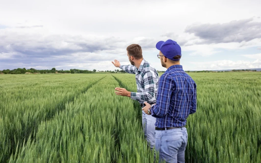 Agricultura responsabilă poate contribui și la protejarea atmosferei