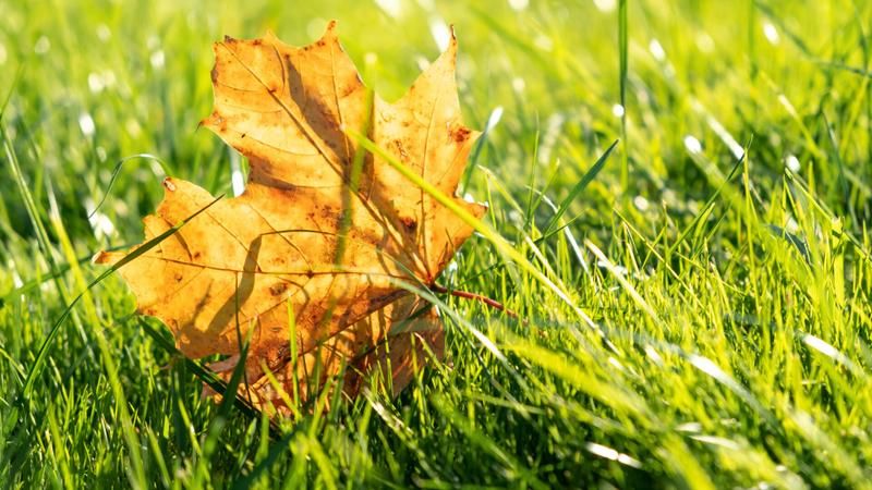 Vreme caldă pentru mijloc de septembrie. Câte grade vor indica termometrele joi