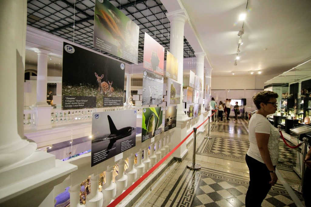 „Triunghiul Muzeelor”, lansat în București. Kiseleff devine promenadă culturală pentru un weekend