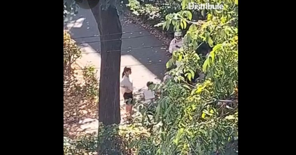 Scene violente în Bacău: adolescentă de 14 ani, filmată în timp ce o bătea pe alta