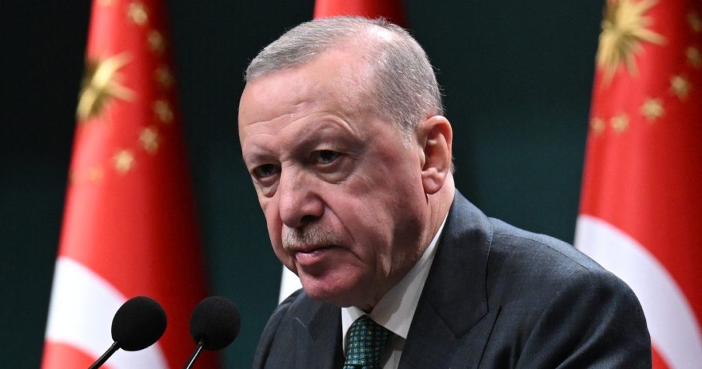 Erdogan pregătește terenul pentru un nou mandat. Ce prevede scenariul alegerilor anticipate în Turcia