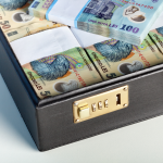 Administratorul unor societăți comerciale, trimis în judecată pentru evaziune fiscală. Prejudiciul se ridică la 800.000 de euro
