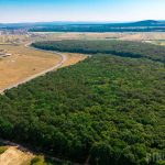 Bani pentru aproape 18.500 hectare pădure