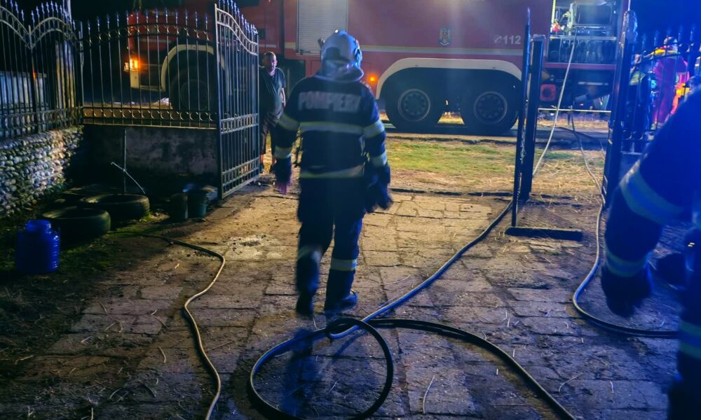 Incendiu, noaptea trecută, într-o gospodărie din Băcia. Pompierii au intervenit de urgenţă