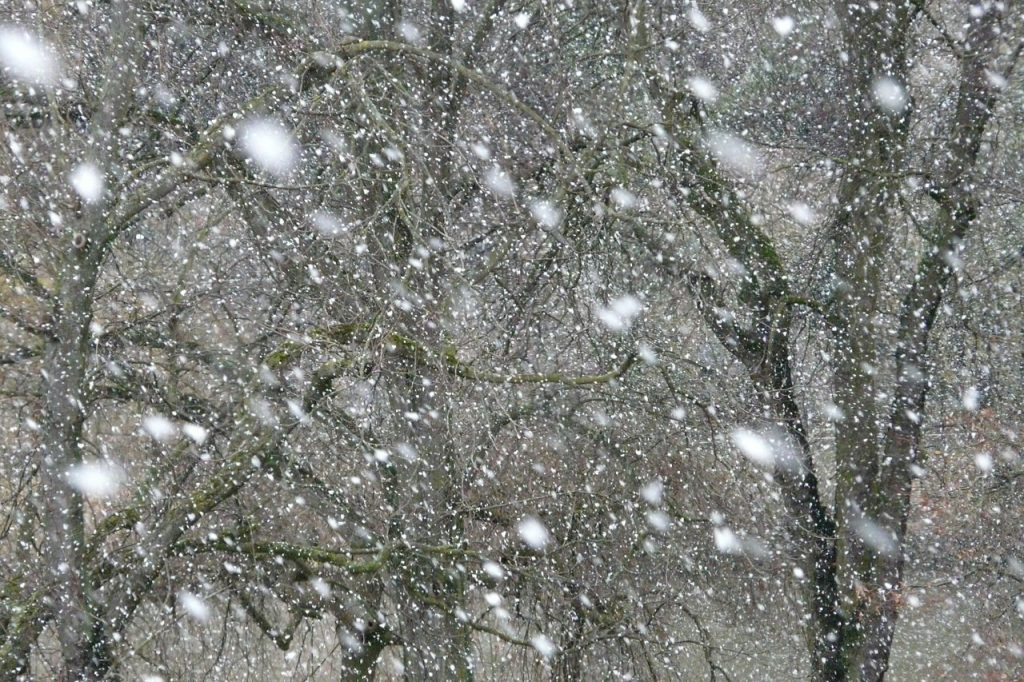 METEO După temperaturi de peste 30 de grade, vin ninsorile în România. Vremea se schimbă radical