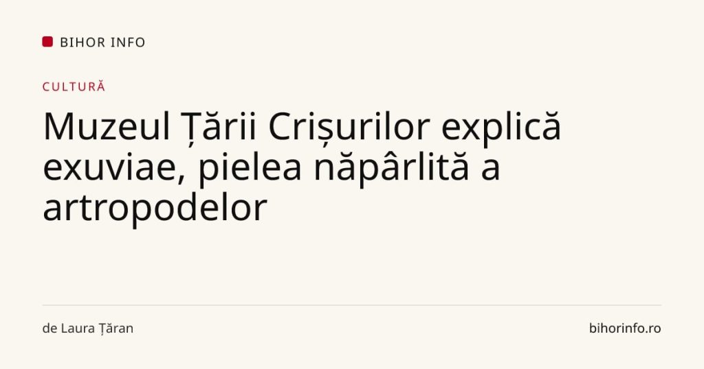 Muzeul Țării Crișurilor explică exuviae, pielea năpârlită a artropodelor
