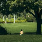 Nou parc în București pe un teren de peste 4.000 metri pătrați din sectorul 1