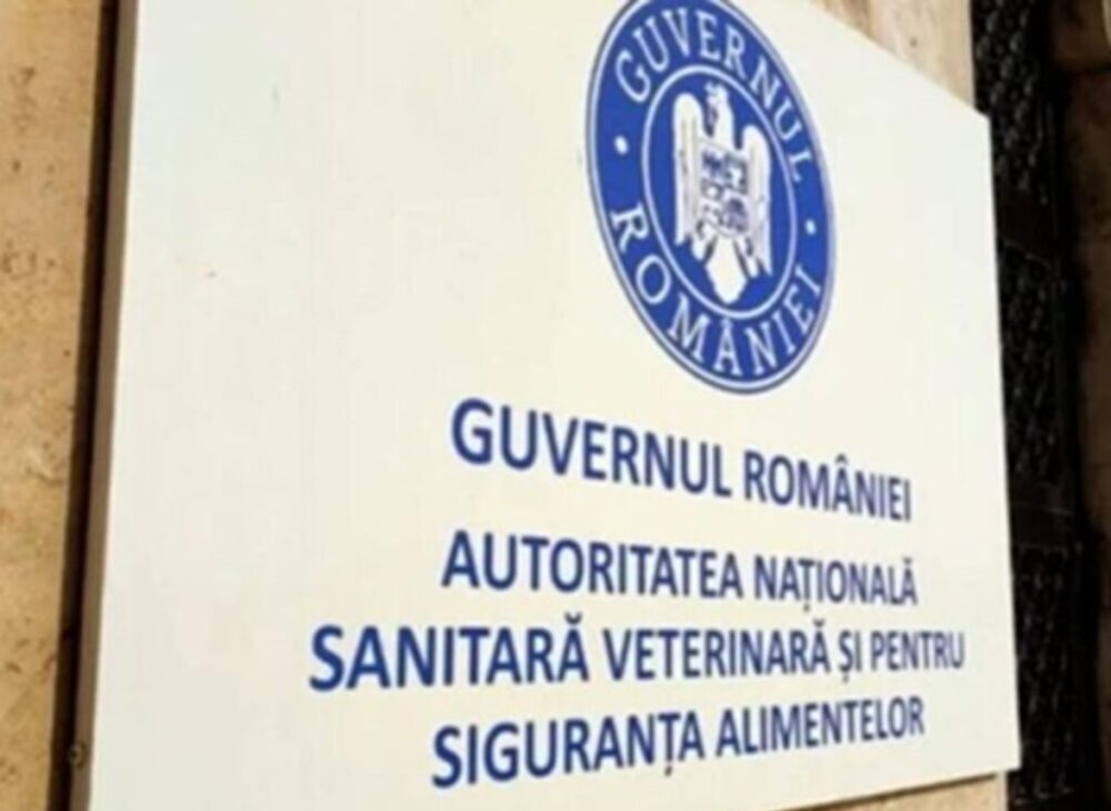 Transport ilegal de ovine interceptat de ANSVSA la Alba Iulia. 200 de animale au fost returnate și plasate în carantină