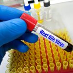 INSP: 111 cazuri de infecţie cu virusul West Nile, înregistrate în acest sezon/ Bilanţul deceselor rămâne cinci