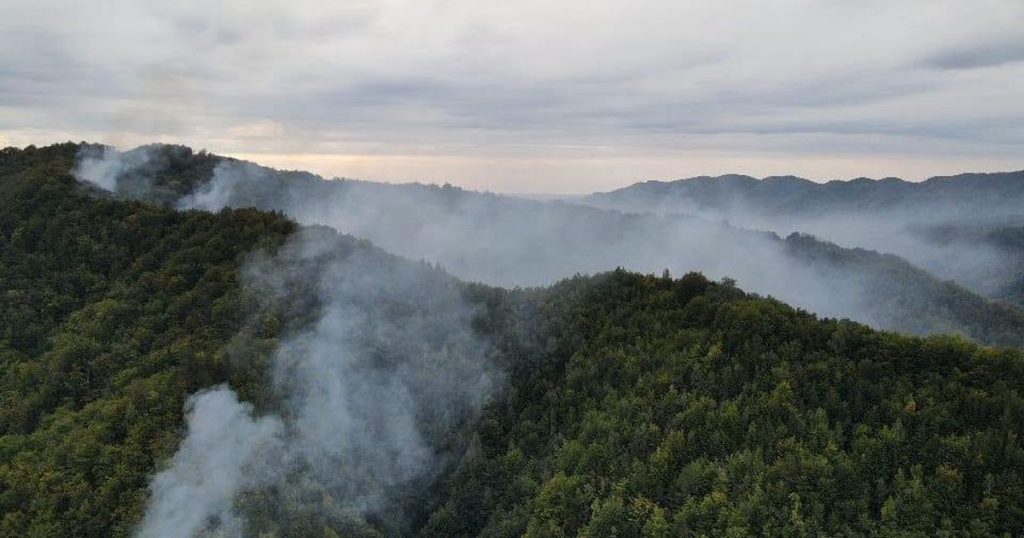 Incendiu de vegetație din Băile Olănești! 16 hectare sunt afectate