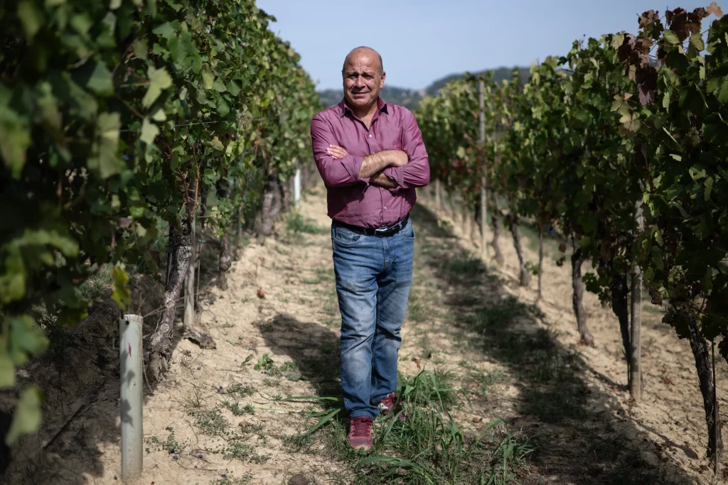 Producătorii de vin din Italia au avut un an extraordinar, cu o „recoltă de cinci stele”, dar și o mare problemă