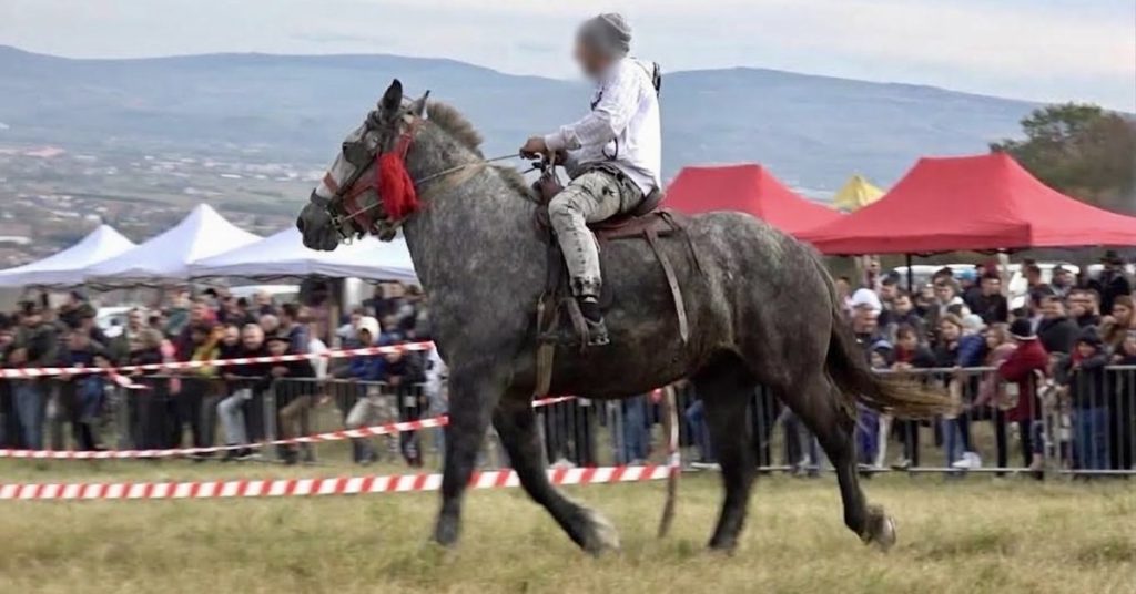 Scandal la un concurs de cabaline din Argeș! Polițiștii au dat 21 de amenzi