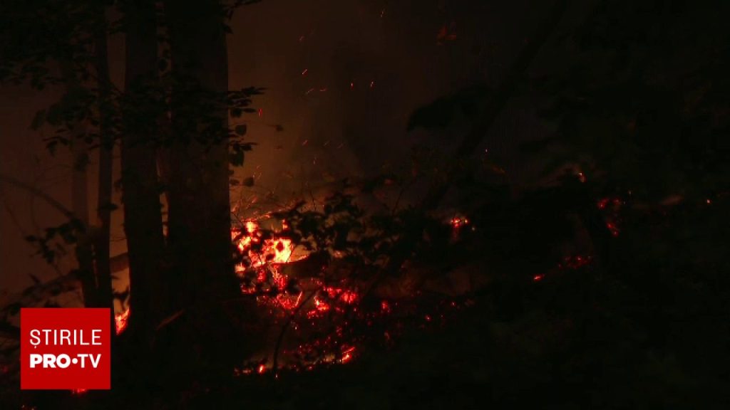 Incendiul de lângă Băile Herculane se extinde. Peste 400 de hectare au fost afectate, iar focul amenință stațiunea