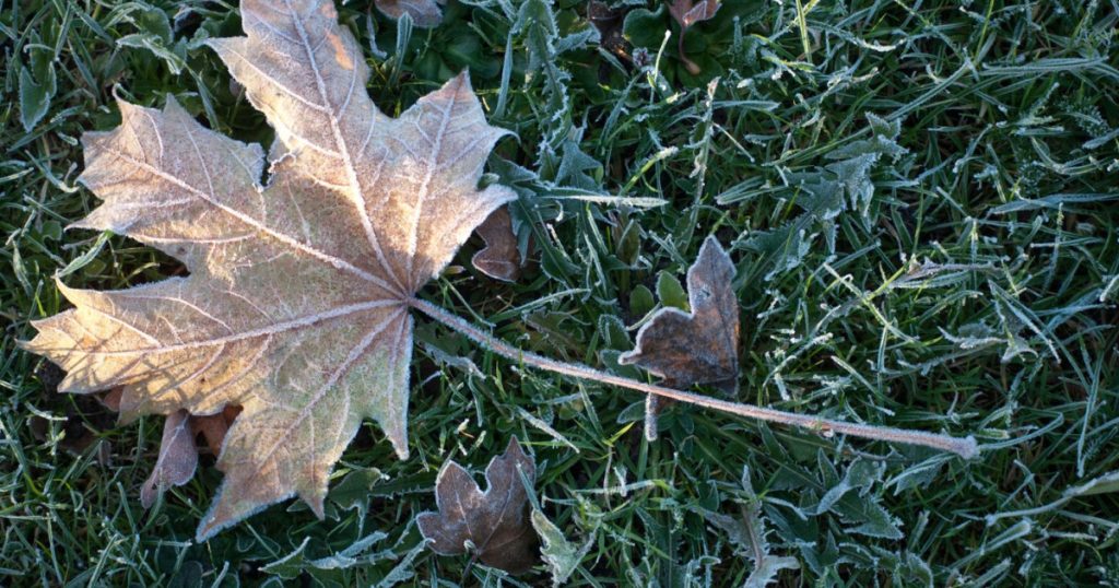 Minus 3,7 grade Celsius la Miercurea-Ciuc. Este a doua oară în această toamnă când se înregistrează valori negative în Harghita