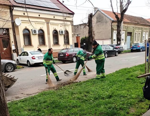 Curățenia de toamnă începe la Oradea. Când pot scoate orădenii frunzele și crengile