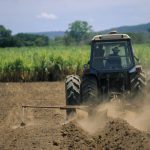 APIA a început plata ajutorului de stat la motorina utilizată în agricultură în trimestrul II al acestui an. Suma totală depăşeşte 150 de milioane de lei, banii urmând a intra în conturile fermierilor în zilele următoare