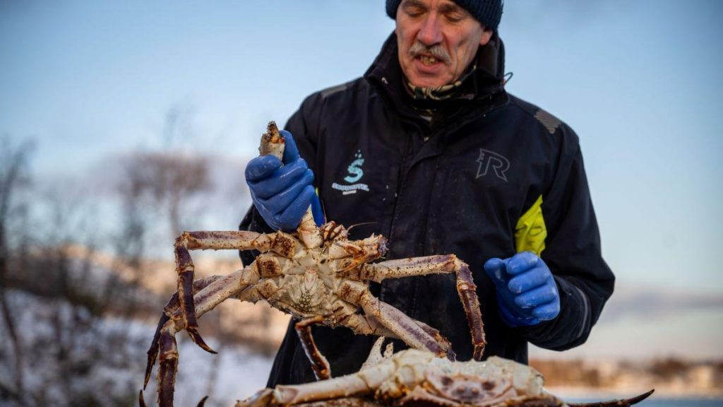 Mit sau realitate: Cât câștigă un pescar de crabi din Norvegia în patru luni?