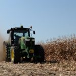 Cerealele românești, lăsate pe linie moartă, agricultorii, trimiși spre faliment