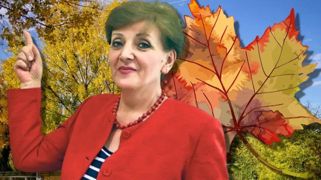 Prognoza meteo 3 octombrie 2026. Vremea continuă să ne surprindă în weekend, razele soarelui sunt perfecte pentru bronzul de toamnă