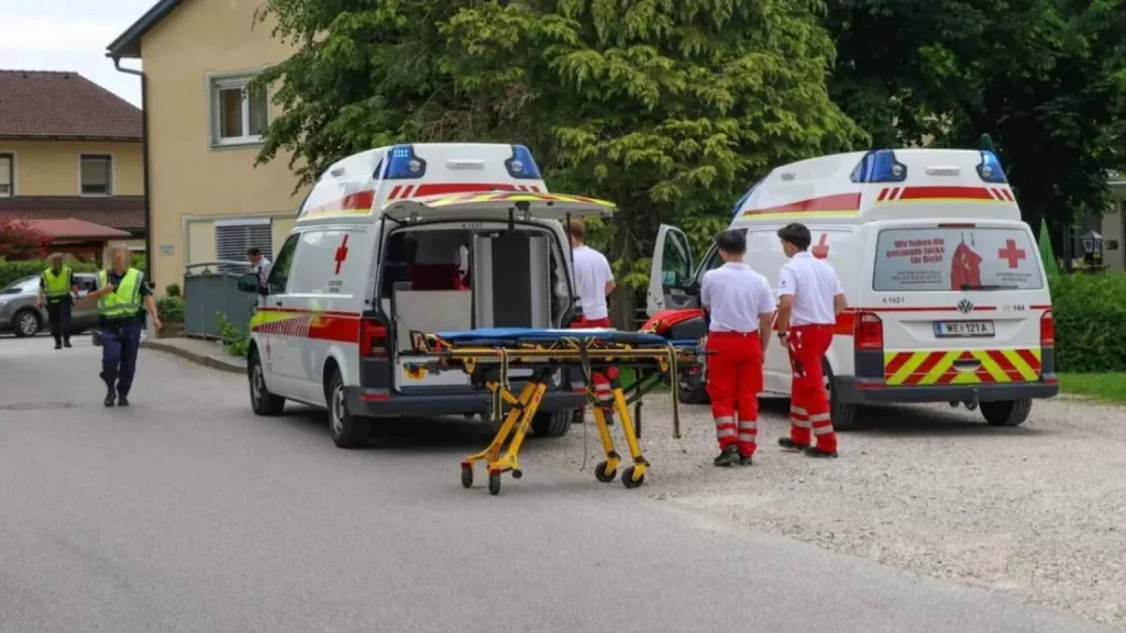 Sfârșit tragic pentru o bătrână de 87 de ani din Austria, după un jaf brutal. Doi români sunt în arest: Femeia îl ajutase pe unul dintre suspecți