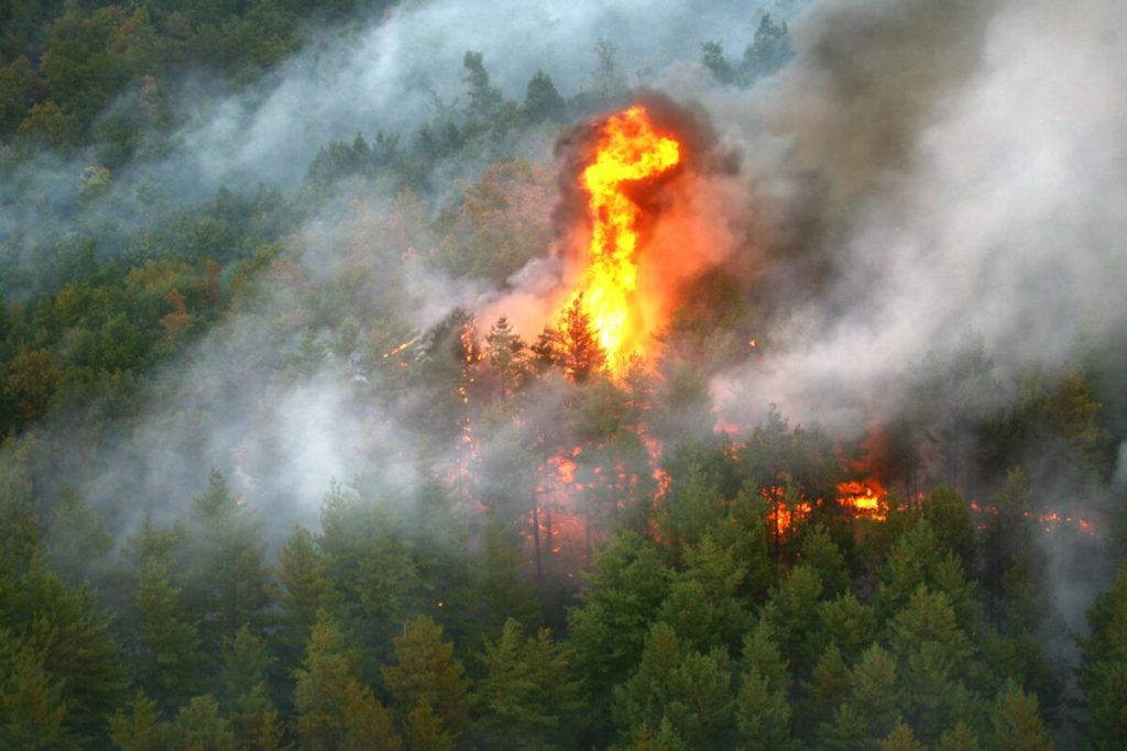 Incendiu în Parcul Național Retezat / Autoritățile au aprobat planul de intervenție în zona Valea Buta