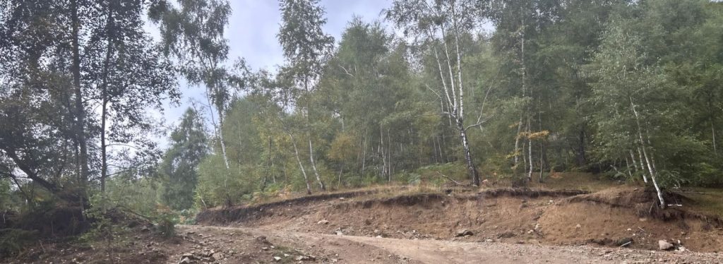 Obște din Crasna, amendată cu 60.000 de lei
