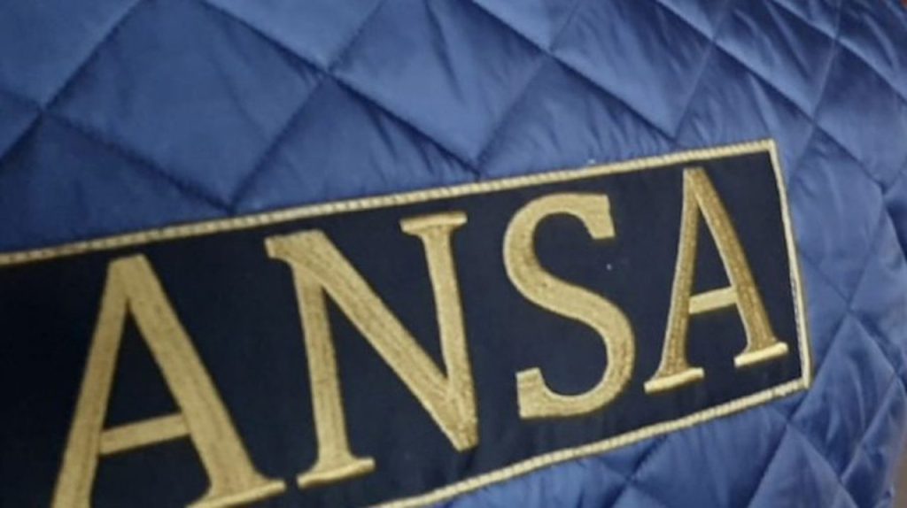 ANSA, reacție după perchezițiile CNA la Postul de Inspecție la Frontieră Leușeni–Albița