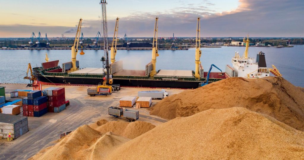Ucraina refuză aderarea la UE dacă are restricții la exportul de cereale
