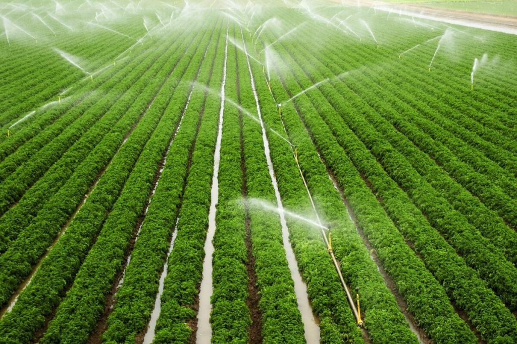 Două sisteme de irigare vor fi reabilitate cu circa 130 de milioane de euro, iar aproape 6900 de hectare vor beneficia de infrastructură nouă