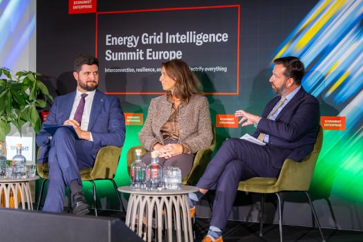 Experiența Republicii Moldova în consolidarea securității energetice, prezentată la un summit în Ţările de Jos