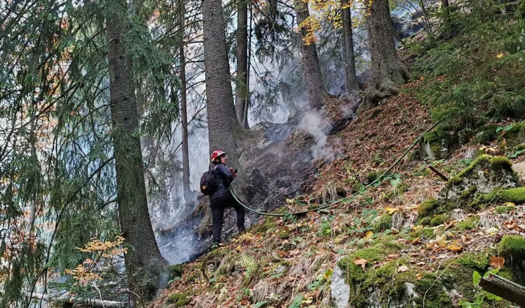 Pompierii încearcă de două săptămâni să stingă un incendiu în Parcul Retezat