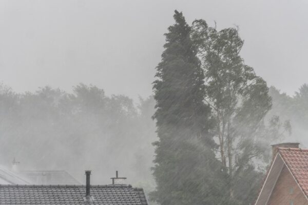 Vremea se schimbă radical în România! Ploi în toată țara, vânt puternic și ninsori la munte. Anunțul meteorologilor