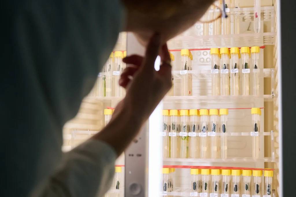 INTERVIU Ce boli ar putea trata descoperirea premiată cu Nobelul pentru Medicină și cât de aproape suntem de primele tratamente