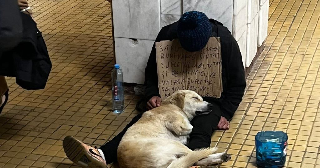Protest în București față de un cerșetor însoțit de câini. Iubitorii de animale suspectează că patrupedele sunt sedate