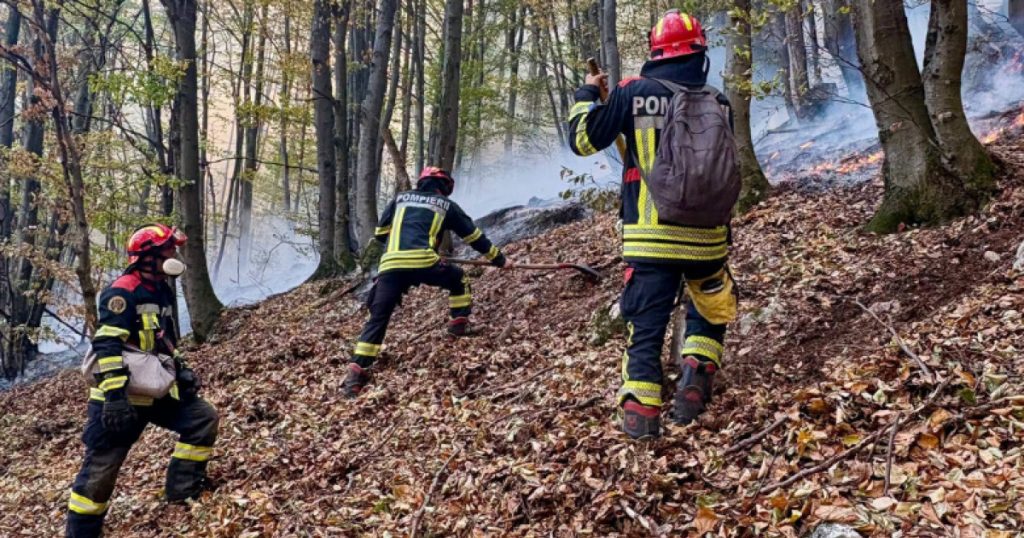 Noi intervenții pentru stingerea incendiilor din Parcul Național Domogled. Peste 1.000 de hectare sunt afectate