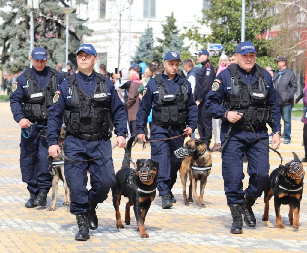 ULTIMA ORĂ! ARGEȘ – ÎMPÂNZIT de FORȚELE DE ORDINE! Mesaj de ultimă oră!