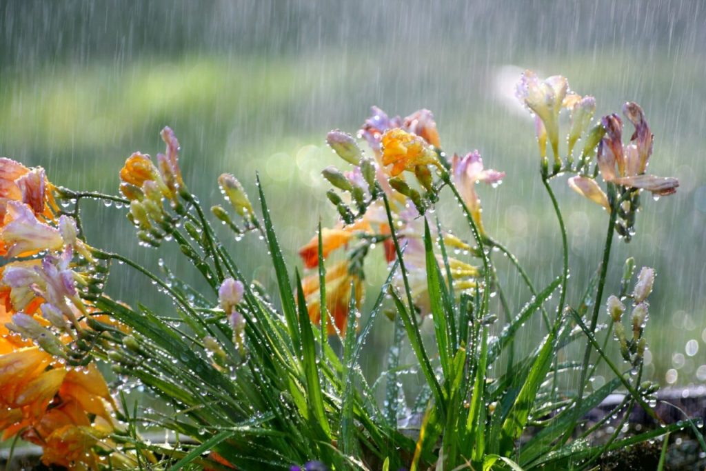 Prognoza meteo pentru 13 octombrie. Meteorologii prevăd ploi slabe în toată țara