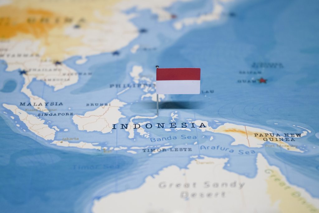 Criză de benzină în insula indoneziană Bali / O bună parte a stațiilor de alimentare s-au închis peste noapte, iar în apropierea celor rămase deschise s-au format cozi uriașe de mașini