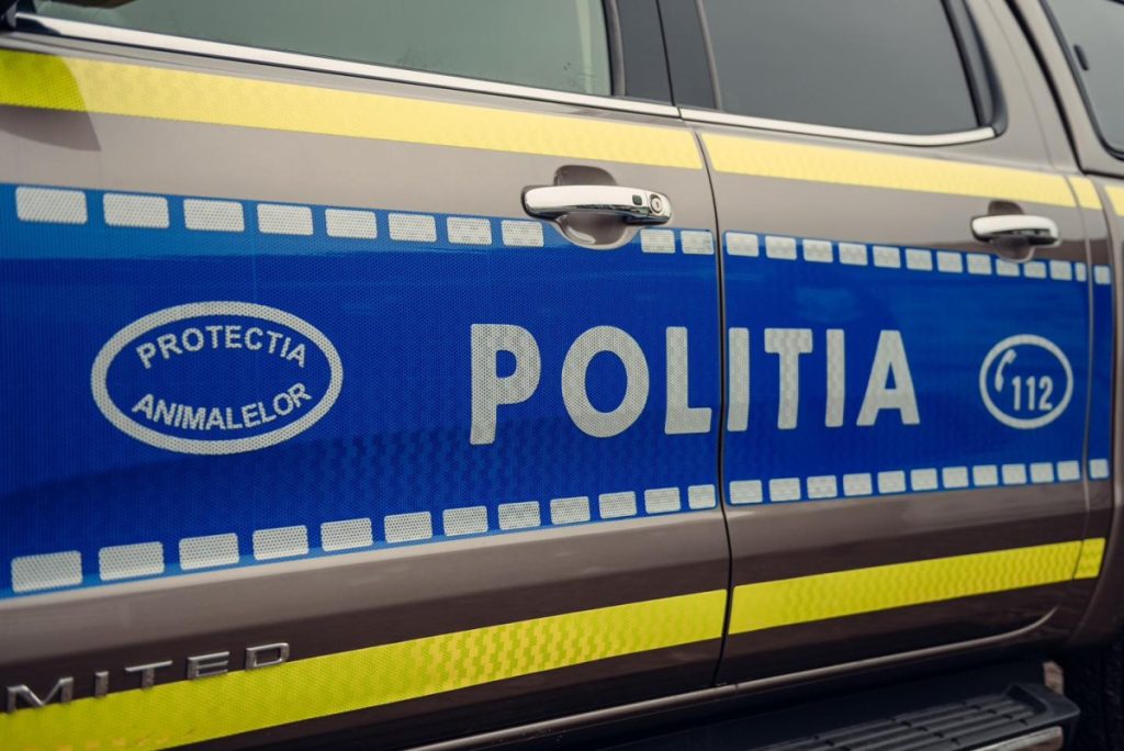 Parchetul Rădăuți: Bărbat plasat sub control judiciar după ce ar fi omorât cățelul de trei luni al cumnatului