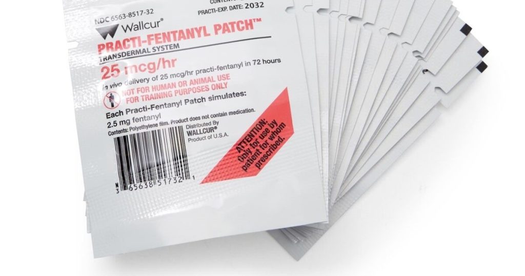 Un român, mama și mătușa sa, arestați în Austria după moartea unui tânăr. I-ar fi vândut plasturi cu fentanil