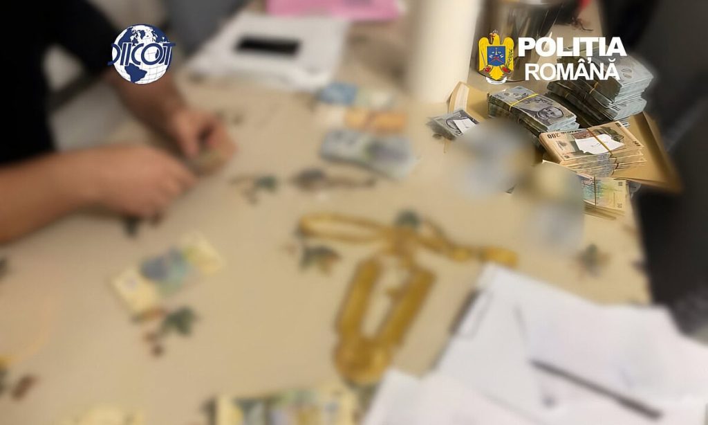 Polițiștii BCCO Alba Iulia au participat la destructurarea unei grupări care săvârșea furturi și tâlhării în SUA